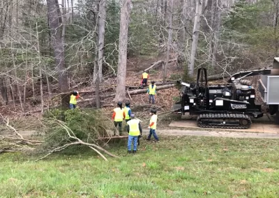 On-Site Wood Grinding by Butler Tree Service