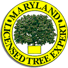 Maryland Licensed Tree Expert 001075